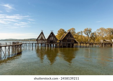 亚洲黄色网站 亚洲黄色网站