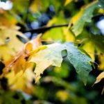 高清全自动录播系统 x2u47