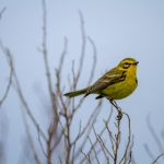 人人视频电脑版在线观看:畅享高清影视,轻松获取最新热门剧集! 75ce43