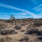 《初恋时间》1到6集免费观看,带你重温青春初恋的甜蜜时光! 7acqolvv