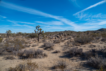 《初恋时间》1到6集免费观看,带你重温青春初恋的甜蜜时光! 《初恋时间》1到6集免费观看,带你重温青春初恋的甜蜜时光!