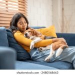 刘亦菲换脸AI技术揭秘,在线观看效果惊艳 veft5sa