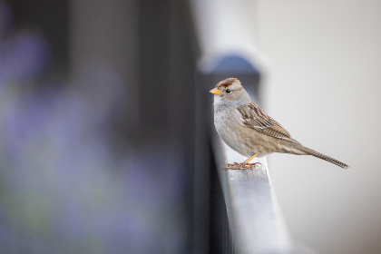 snooker game online:畅享在线斯诺克游戏的乐趣与技巧提升 snooker game online:畅享在线斯诺克游戏的乐趣与技巧提升