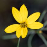 探索原神宵宫的色图魅力与角色深度解析 do0k837n1