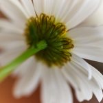 探索事物的真实面貌:它们究竟看起来是什么样的? l6448u9f