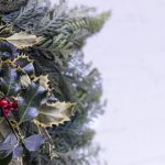 探索JM Comic Web:揭开漫画创作与分享的新天地 ri65u