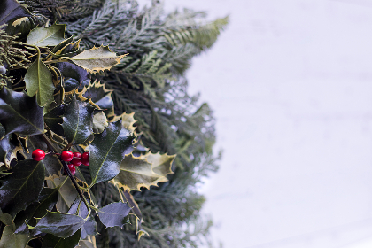 探索JM Comic Web:揭开漫画创作与分享的新天地 探索JM Comic Web:揭开漫画创作与分享的新天地